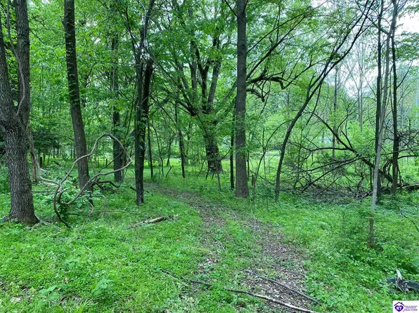653 Walter Boone Rd, Rineyville, KY 40162