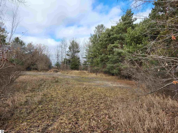 0 Bussa Rd, Rapid City, MI 49676