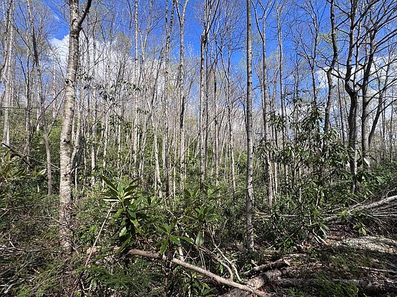 3rd image of Red Clover Rd
