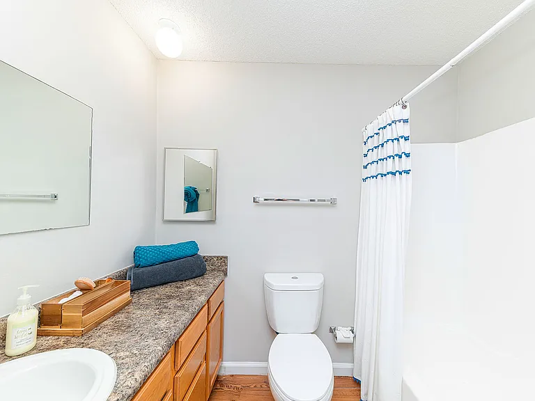 Bright bathroom with bathtub