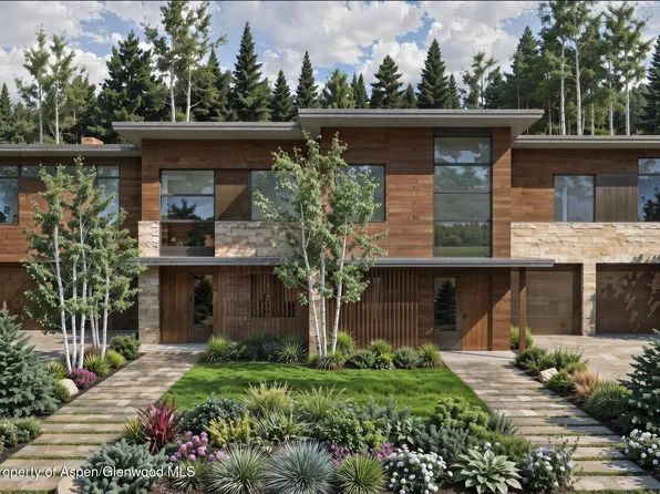 875 Bonita Dr, Aspen, CO 81611