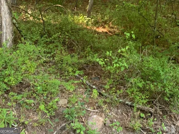 E Of 246 Matthe Matthews Rd Tract A, Fayetteville, GA 30215