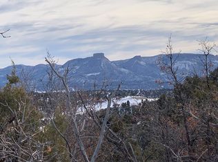 TBD Road P2, Mancos, CO 81328