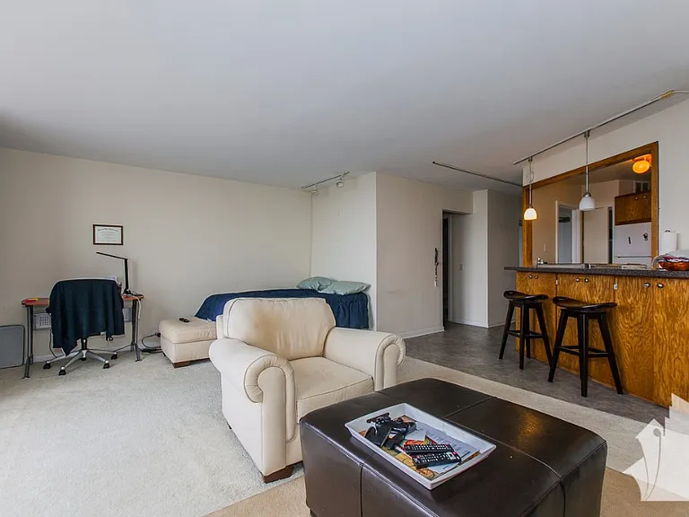 5415 N Sheridan Rd #4703 — Photo 8