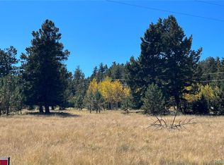9430 Ranch Rd, Hartsel, CO 80449