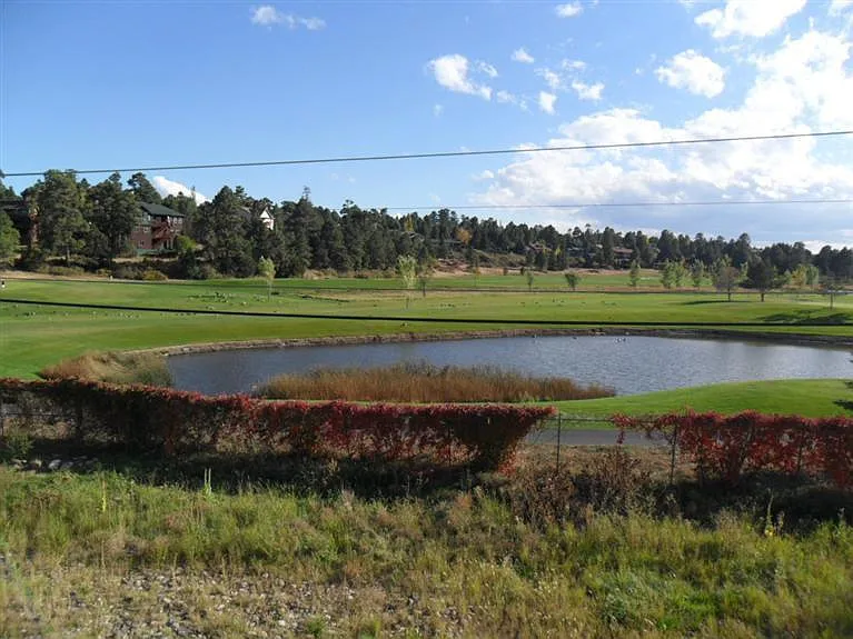Timberline - 1 — Photo 1