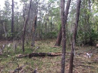 106 Escambia Dr, Florahome, FL 32140