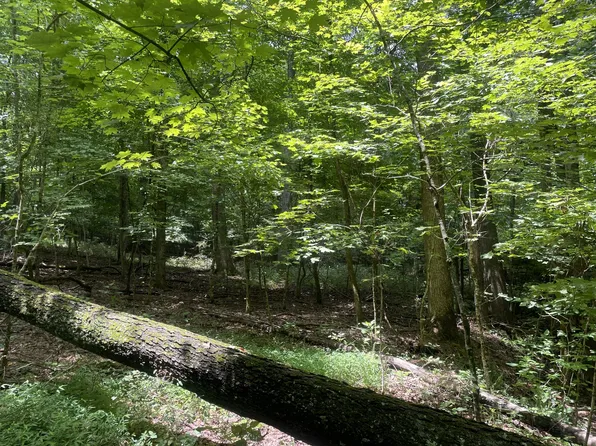 1535 Mount Olivet Rd, Hendersonville, TN 37075