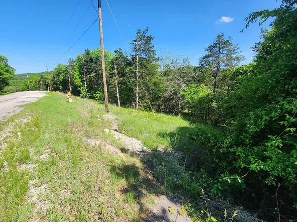 11 Cottonwood Ln, Eureka Springs, AR 72631