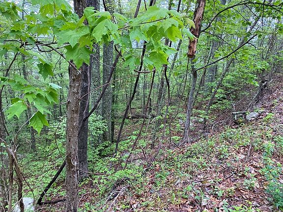 4th image of 21 Linwood Ct Lot 21