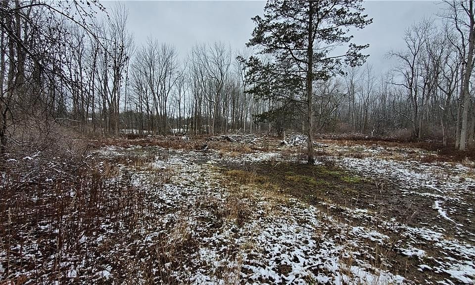 2nd image of 1143 W Bloomfield Rd