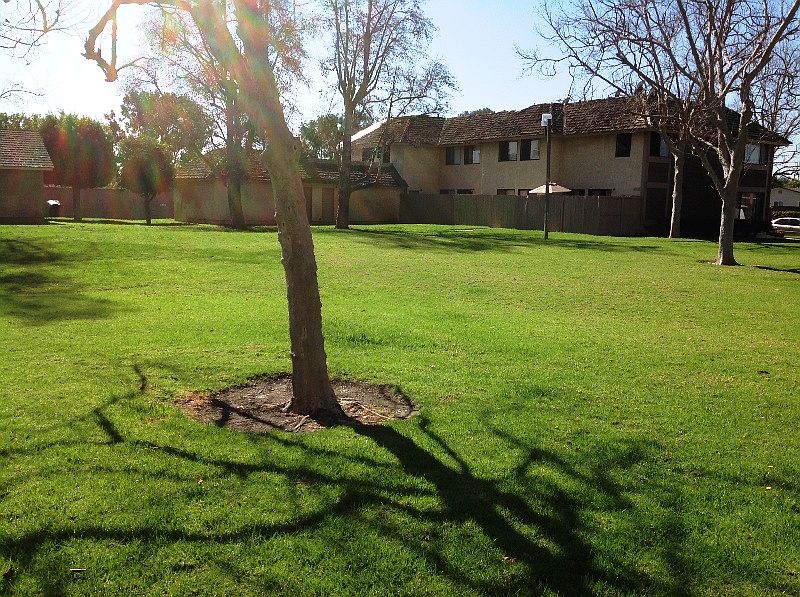 2nd image of 941 S Downey Pl #19