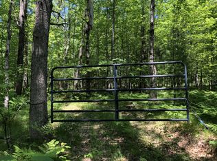 Coates Hwy, Brethren, MI 49619