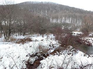 428 W Branch Rd, Smethport, PA 16749