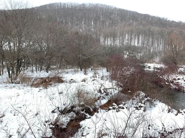 428 W Branch Rd, Smethport, PA 16749