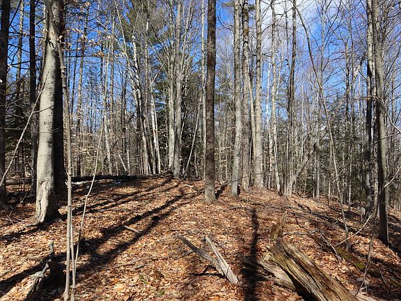 3rd image of 0 Bear Pond Rd