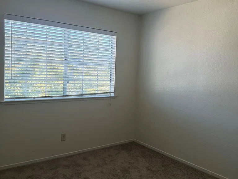 8317 Bramble Bush Cir — Photo 19