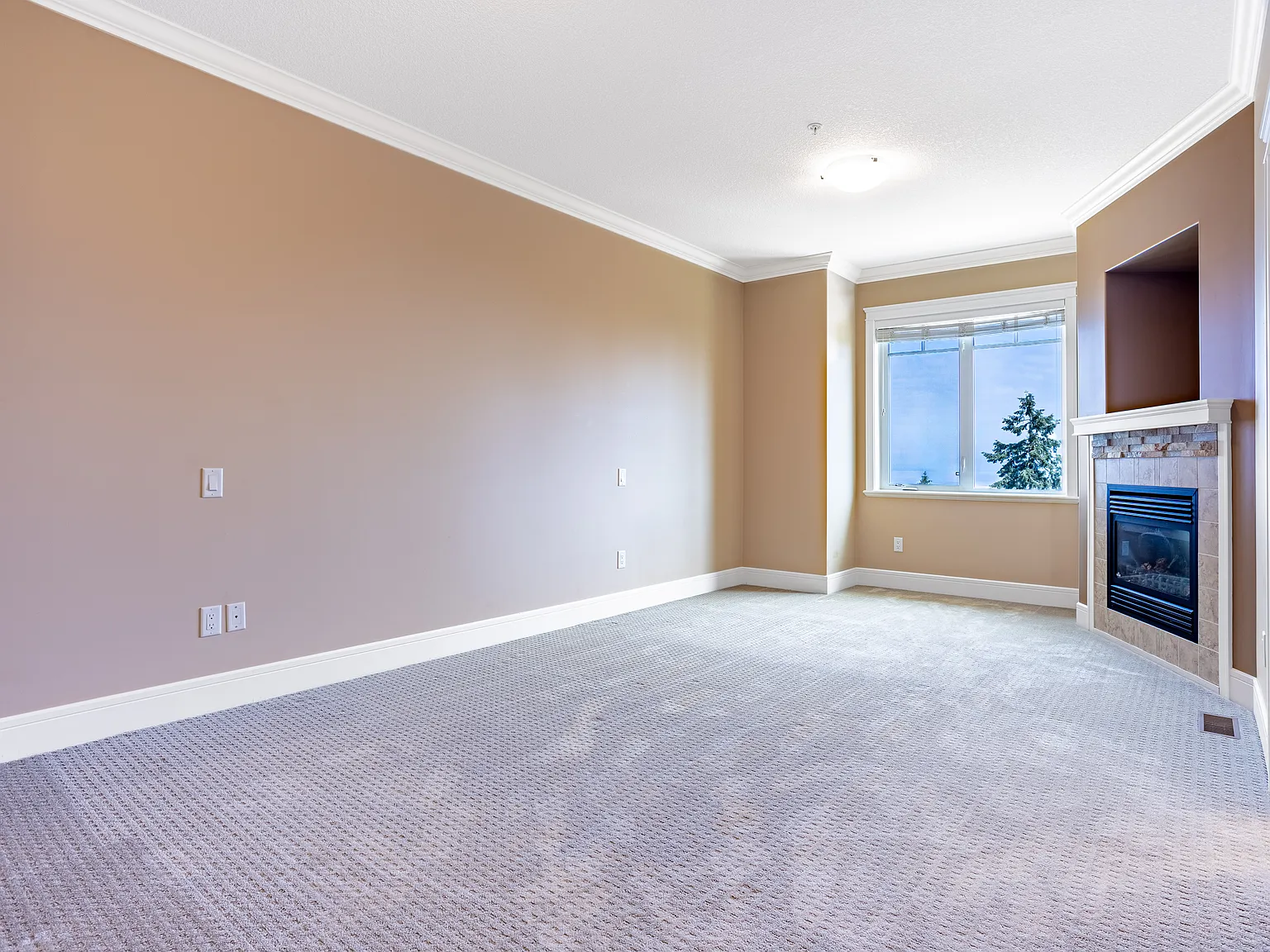 4730 Skyline Way — Photo 3