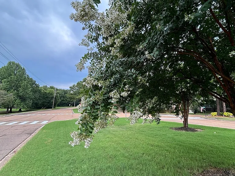 2050 Norcross Dr — Photo 38