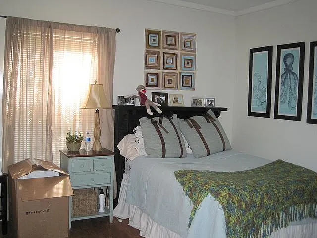 307 White Dr — Photo 4