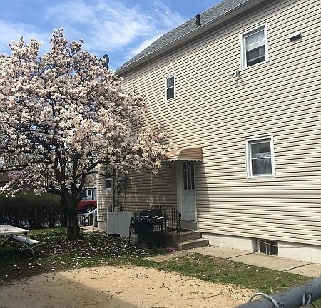 3rd image of 242 River Dr