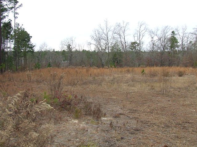 1st image of 496 Sweet Pea Ln