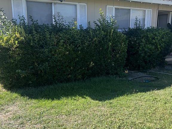 4th image of 2902 Litchfield Dr