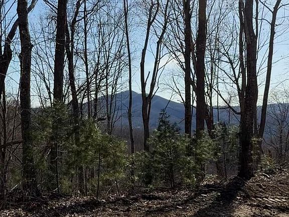 2nd image of Tbd Heaton Branch Rd