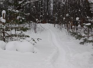 W Simpson Rd, Mancelona, MI 49659