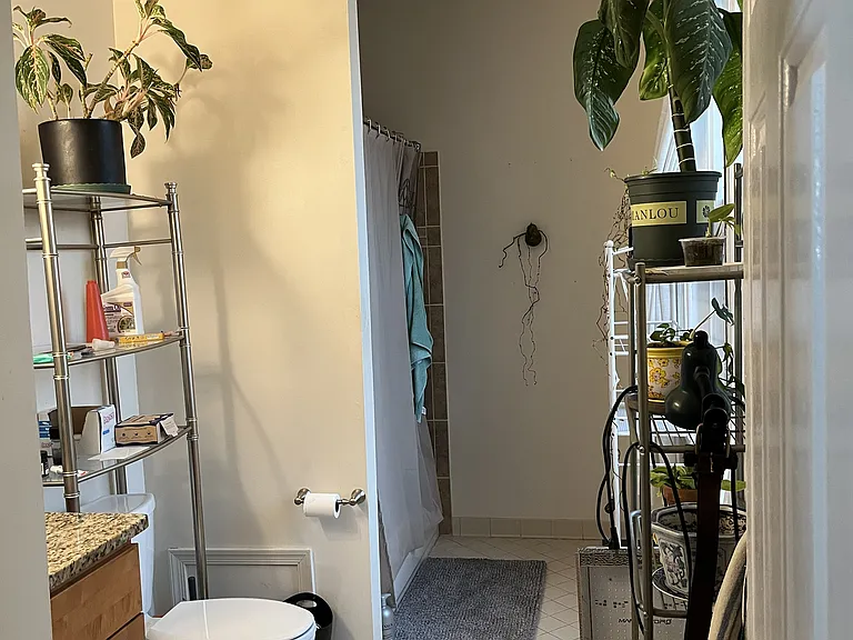809 Cathedral St #5 — Photo 19