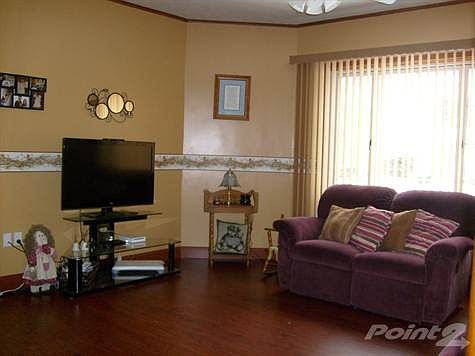 laminate flooring