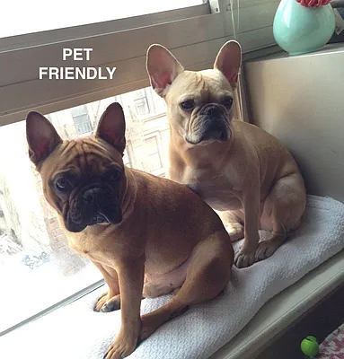 Rented by Bohemia Realty Group | media 17