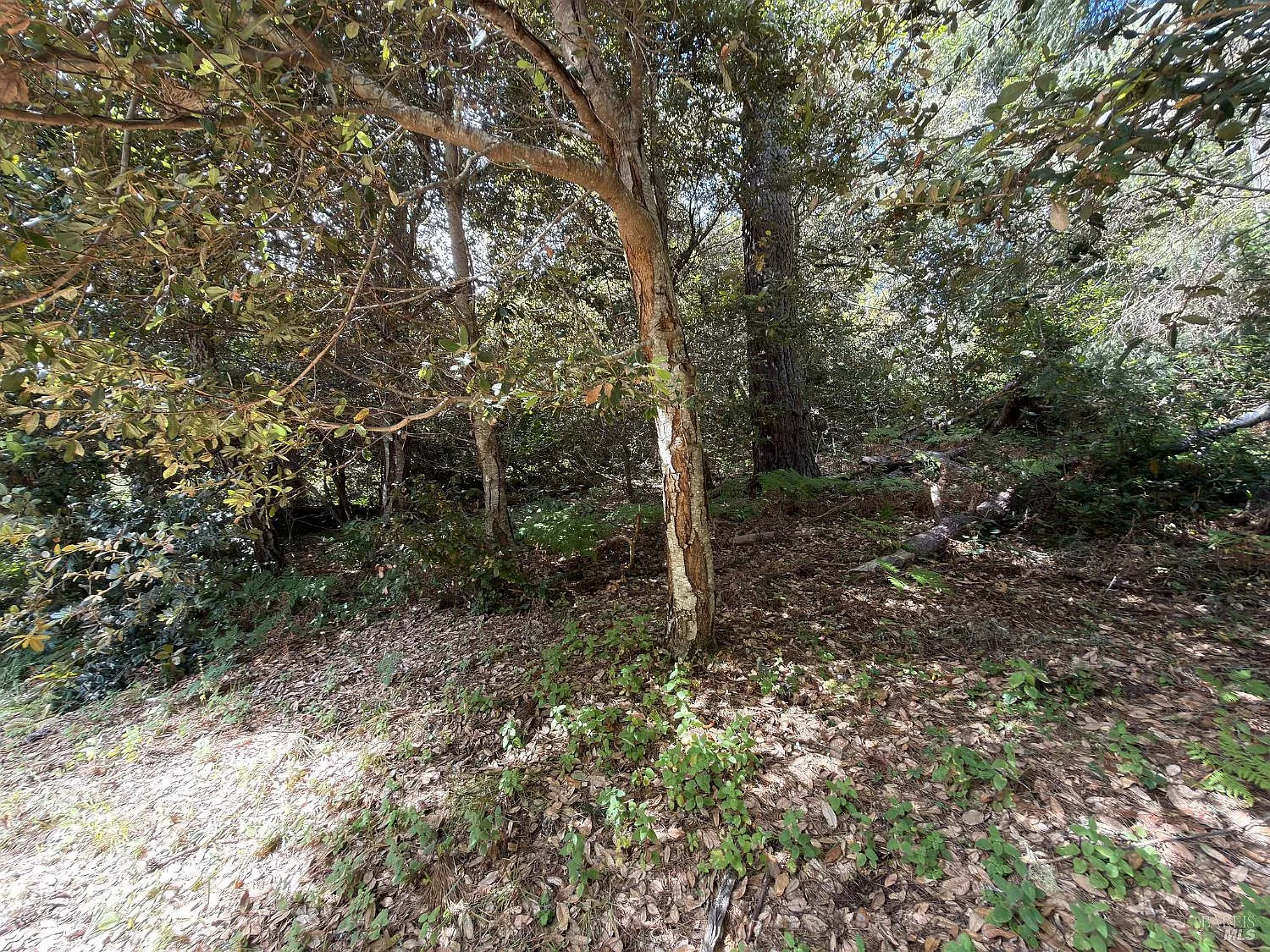 76 Compass Close - Photo 10