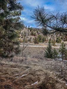 Bear Gulch Rd, Drummond, MT, 59832
