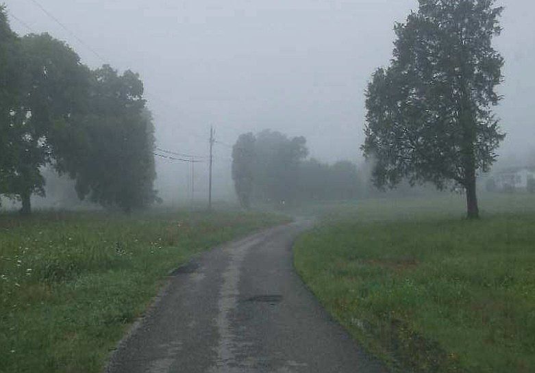 2nd image of 658 Atkinson Rd