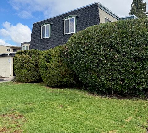 Two bedroom windows of unit