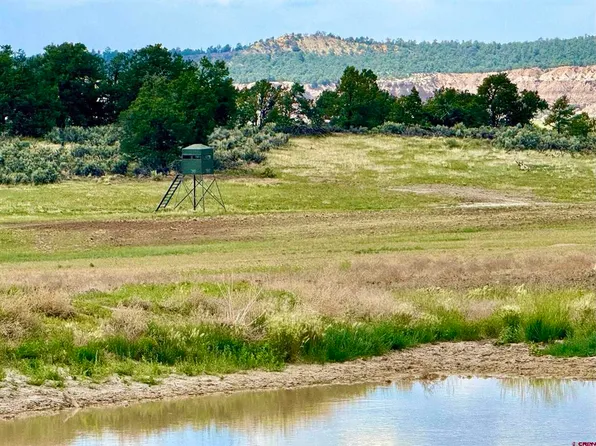 233 Highway 305 #Mossback 6A, Regina, NM 87575