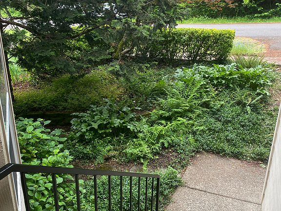 Front garden with only greenery across the street.