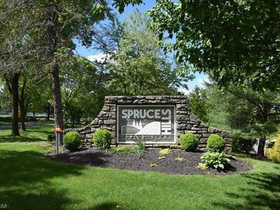 106 Spruce Hills Dr #106, Glen Gardner, NJ, 08826