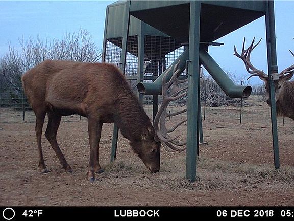 4th image of 7309 County Road 231