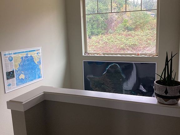 4th image of 2402 W Echo Bay Dr