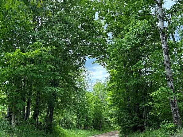 Grange Hall Rd Lot 13, Oneonta, NY 13820