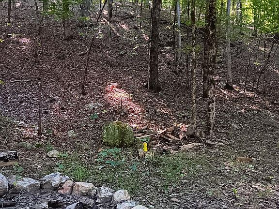 2nd image of 410 Rocky Branch Dr