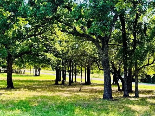 14004 Sandy Oaks Dr, Whitney, TX 76692