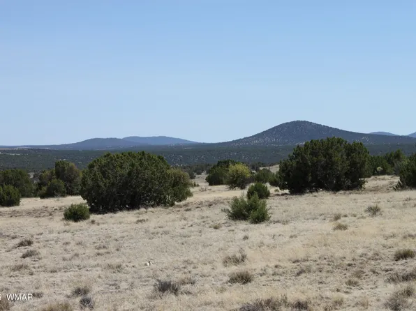 36 County Road 8249, Concho, AZ 85924