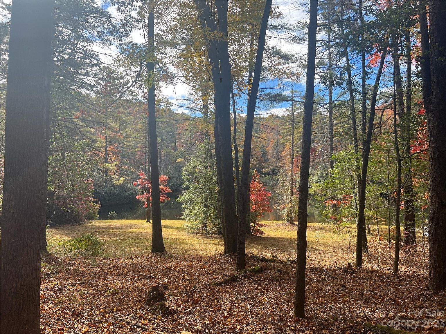 8888 Marshall Lake Rd, Cedar Mountain, NC 28718 Zillow