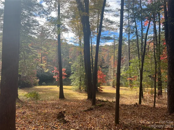 8888 Marshall Lake Rd, Cedar Mountain, NC 28718