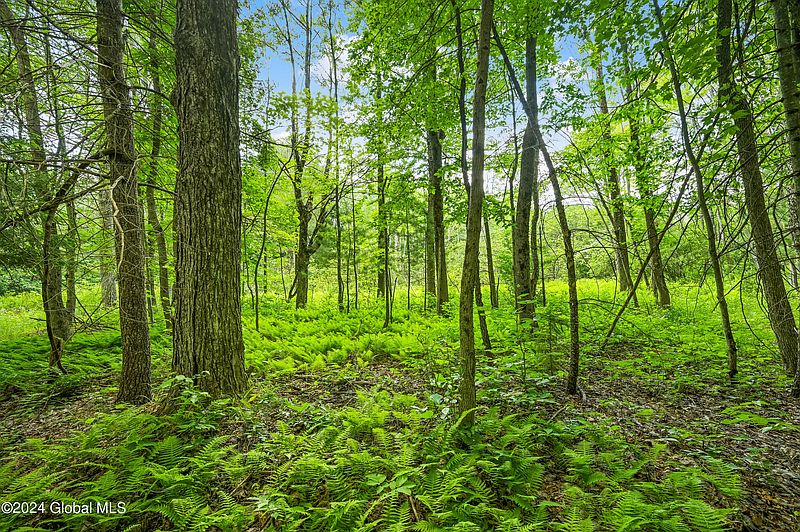 3rd image of 139 Deer Path Road