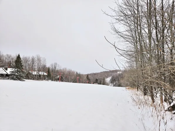 LOT 3 Avalanche Rd, Bessemer, MI 49911