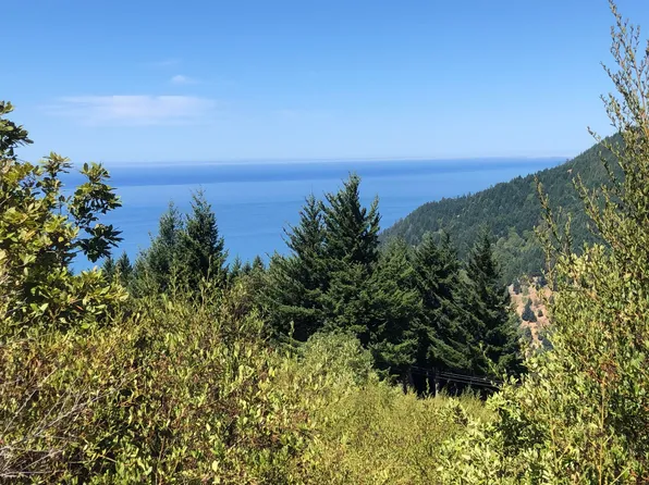 36 & 56 Willow Glen Rd, Whitethorn, CA 95589